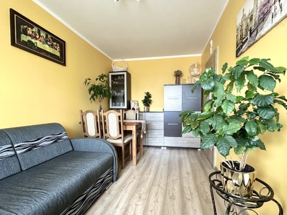 mieszkanie białystok nowe miasto sprzedaz sprzedam 2 pokoje dwa pokoje wynajem kupie mieszkanie oddzielna kuchnia duży balkon balkon z zabudową kuchnia po remoncie blisko centrum