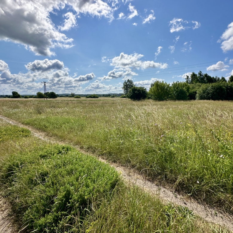 wasilków podlaskie podlaskie białystok działka działka grunt grunt ziemia łąka sprzedam na sprzedaż